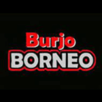 Logo Perusahaan Borneo Group Indonesia - Lowongan Cook – Sekertaris – HR Recruitment – Manager Outlet – Manager Keuangan