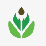 Logo Perusahaan CV. Orimoza Cortex - Lowongan Staff Marketing – RnD Traffic – Staff Supplier – Creator Tiktok – Management Trainee