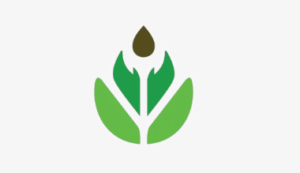 Logo Perusahaan CV. Orimoza Cortex - Lowongan Kerja Staff Marketing – RnD Traffic – Staff Supplier – Creator Tiktok – Management Trainee