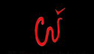 Logo Perusahaan PT. Warna Alam Indonesia - Lowongan Kerja Staff Teknik – Staff Pemasaran – Admin Keuangan