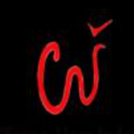 Logo Perusahaan PT. Warna Alam Indonesia